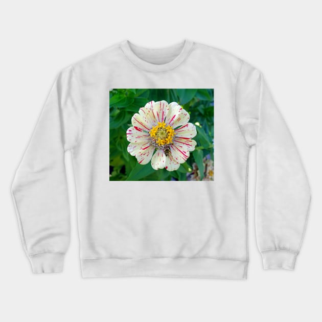 Zinnia Guest Crewneck Sweatshirt by bobmeyers